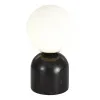 Настольная лампа ST-Luce SL1191.404.01 Настольная лампа ST-Luce SL1191.404.01