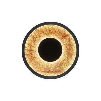 Бра Favourite 4445-1W