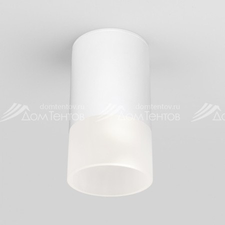 Elektrostandard Light LED 2106 (35139/H) белый