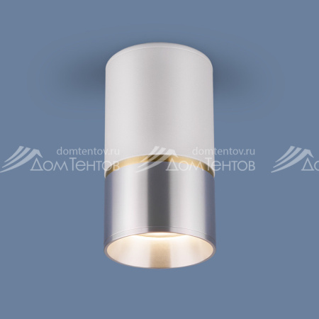 Накладной светильник Elektrostandard DLN106 GU10 белый/серебро