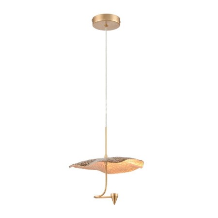 Vele Luce VL5734P31