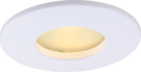 Влагозащищенный светильник ARTE Lamp A5440PL-1WH