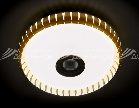 Накладной светильник Ambrella Light F789 GD 72W D500
