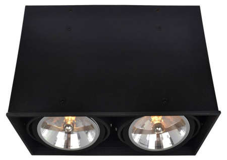 Накладной светильник ARTE Lamp A5936PL-2BK