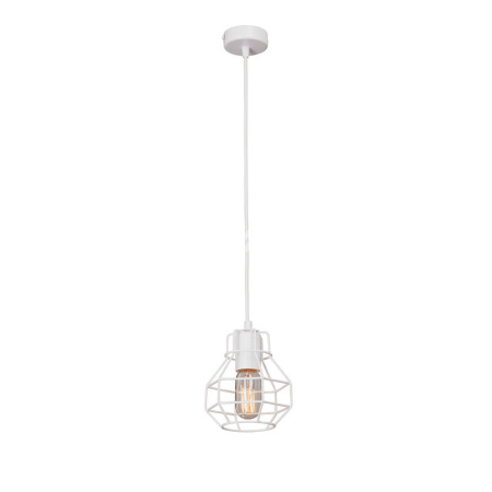 Vitaluce V4884-0/1S